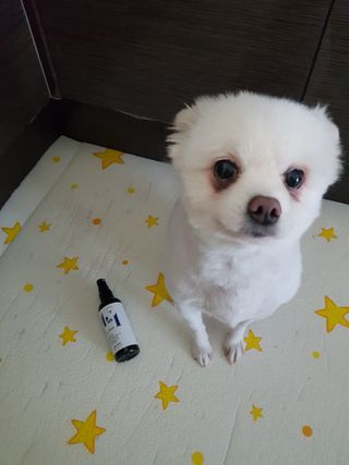 한방두방맘님이 올린 리뷰 사진 4