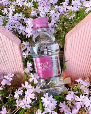 몽베스트 [MONTBEST] 330mL 20병 — 5점을 준 리뷰어가 2022년 4월 올린 사용 사진