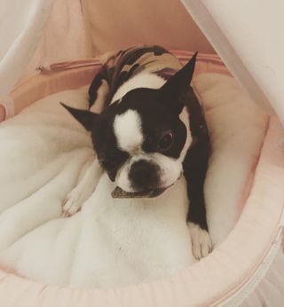 뱁새♥︎님이 올린 리뷰 사진 2
