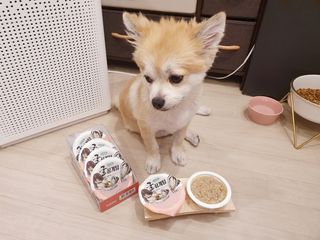 좋아님이 올린 리뷰 사진 1