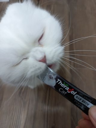 좋아님이 올린 리뷰 사진 3