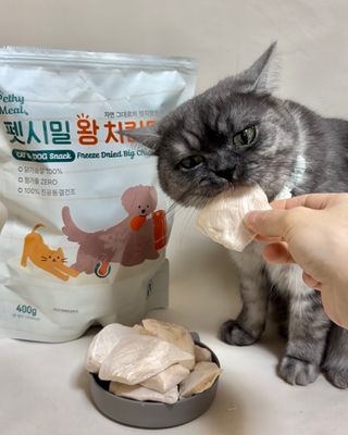 이아름율둥맘님이 올린 리뷰 사진 1