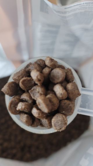 란다김님이 올린 리뷰 사진 2