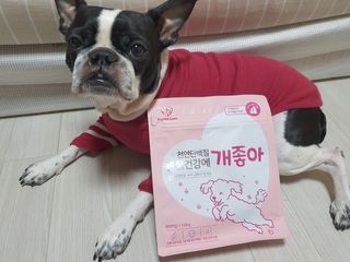 My Pet Care 천연단백질 관절건강에 개좋아 — 5점을 준 리뷰어가 2021년 2월 올린 사용 사진