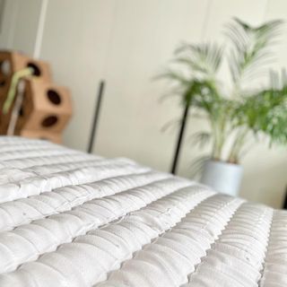 ccoyo님이 올린 리뷰 사진 4