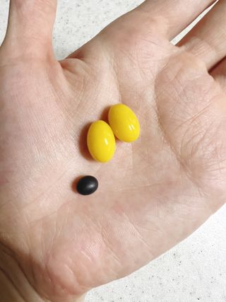 [이롬] 알티지 메가유산균 1 개월분 (490mgx30캡슐x2개입) — 4.5점을 준 리뷰어가 2022년 6월 올린 사용 사진