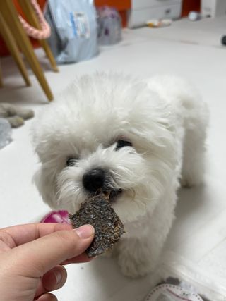 린짱님이 올린 리뷰 사진 4