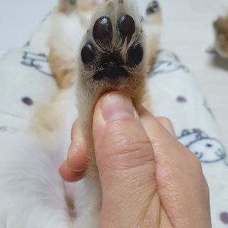 양용언님이 올린 리뷰 사진 3