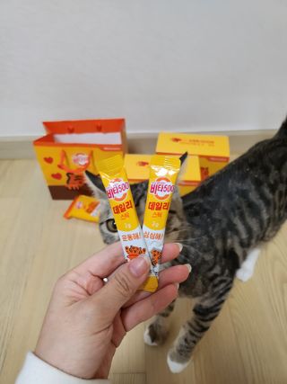 오니님이 올린 리뷰 사진 4