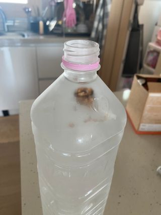 나는희공주님이 올린 리뷰 사진 3