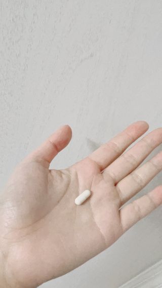 메이준뉴트리 메이준쎌 편안해질 Y케어 유산균 — 5점을 준 리뷰어가 2021년 2월 올린 사용 사진