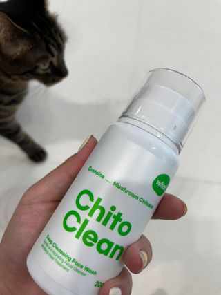 whol 키토클린 200ml - 항균항바이러스 강아지 눈 코 입 귀 세정탈취 고양이 턱드름제거 무향 워터리스 대용량 — 5점을 준 리뷰어가 2022년 10월 올린 사용 사진
