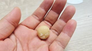 비나프렌즈 (구매평) 25년 햇 수확 알큰 프리미엄 껍질 까먹는 통 마카다미아 — 5점을 준 리뷰어가 2025년 8월 올린 사용 사진