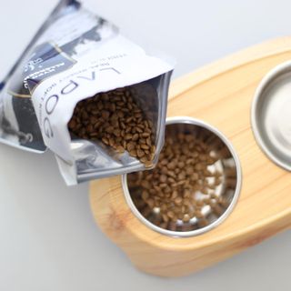 [푸디웜] 라포그 리얼인섹트 소프트키블 스킨 1KG — 3점을 준 리뷰어가 2022년 9월 올린 사용 사진