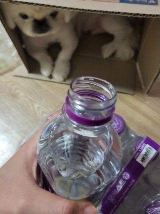 몽베스트 [MONTBEST] 330mL 20병 — 5점을 준 리뷰어가 2023년 7월 올린 사용 사진