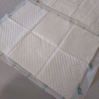 아베크 펫 와이드 프리미엄 중형 애견 강아지 배변 패드 54매 1팩 45g — 4점을 준 리뷰어가 2021년 7월 올린 사용 사진