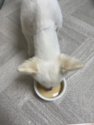 강이님이 올린 리뷰 사진 1