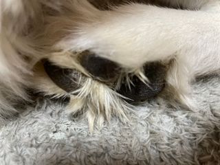 ㅇㅅㅇ님이 올린 리뷰 사진 3