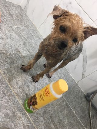 아라아빠님이 올린 리뷰 사진 3
