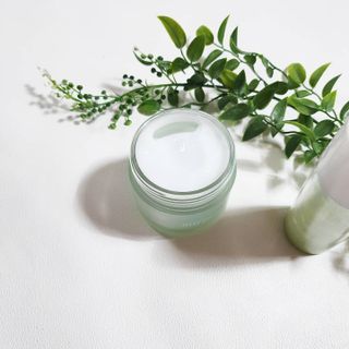 김정문알로에 큐어 큐어 알로에 리프레쉬 젤리 세럼, 큐어 알로에 하이드로 젤리 크림 — 5점을 준 리뷰어가 2021년 3월 올린 사용 사진
