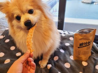 좋아님이 올린 리뷰 사진 2