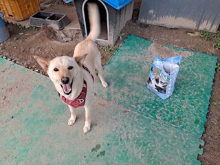 천도님이 올린 리뷰 사진 1