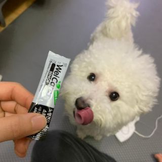 빙빙이님이 올린 리뷰 사진 1