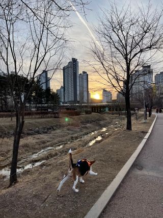 지우님이 올린 리뷰 사진 3