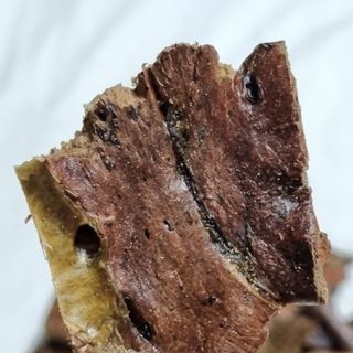 saiio님이 올린 리뷰 사진 3