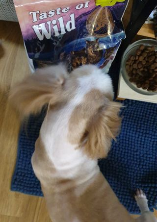 PDKIM님이 올린 리뷰 사진 3