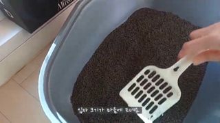 Er님이 올린 리뷰 사진 2