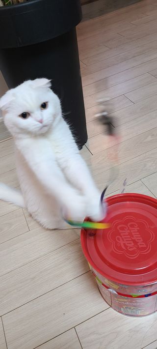 논지님이 올린 리뷰 사진 1