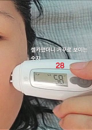 복마님님이 올린 리뷰 사진 2