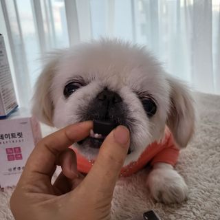 mini unni님이 올린 리뷰 사진 3