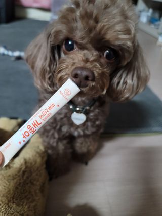 My Pet Care 모발과 모질 피부건강에 개좋아 — 5점을 준 리뷰어가 2021년 3월 올린 사용 사진