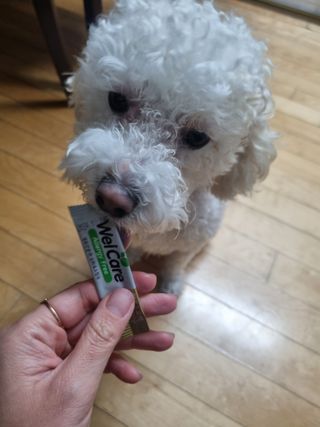 귀요미두공주맘님이 올린 리뷰 사진 3