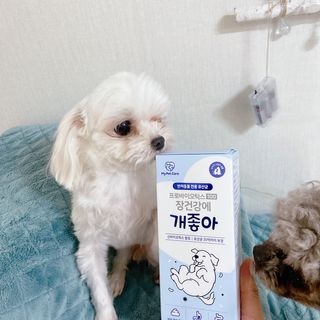 지민앤코코몽님이 올린 리뷰 사진 2