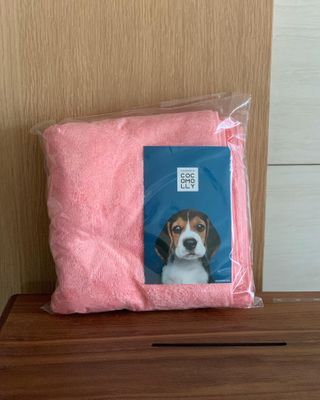 코코몰리 보들보들 초극세사 프리미엄 펫전용 타올 — 5점을 준 리뷰어가 2021년 1월 올린 사용 사진