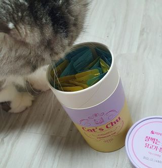 페페로니 잘 먹는 캣츄 - 무항생제 닭고기 12개 + 원양선 참치 12개 — 5점을 준 리뷰어가 2021년 8월 올린 사용 사진