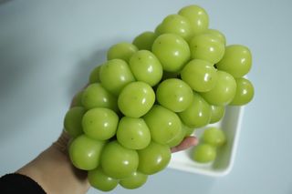 프리미엄 수출용 엘로아시스 샤인머스켓 특등품 1.5kg 2송이 — 4.5점을 준 리뷰어가 2021년 12월 올린 사용 사진