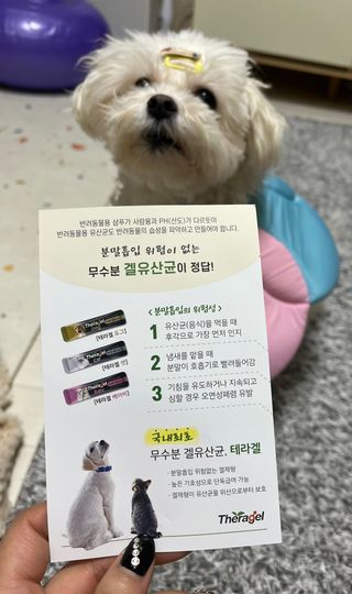 윤퍼플님이 올린 리뷰 사진 3