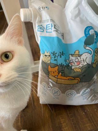 엘마마님이 올린 리뷰 사진 3