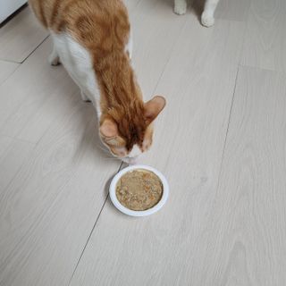 쓔리님이 올린 리뷰 사진 3