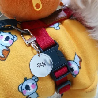 컴바이유 써지컬 각인 키링 [반려동물 인식표, 커플 키링, 가족 키링] — 5점을 준 리뷰어가 2022년 3월 올린 사용 사진