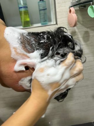 르핸스 퍼포밍 5 샴푸 비반트 포렛/베티버 포그 — 5점을 준 리뷰어가 2022년 12월 올린 사용 사진