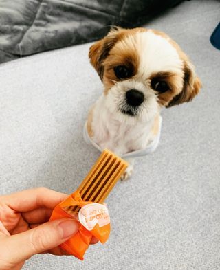 오둥이맘님이 올린 리뷰 사진 1