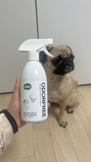은때님이 올린 리뷰 사진 2