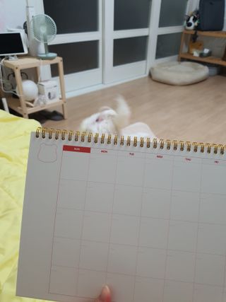 리훈 곰부 체크리스트+ 곰부 리무버블스티커 1장 — 5점을 준 리뷰어가 2021년 4월 올린 사용 사진