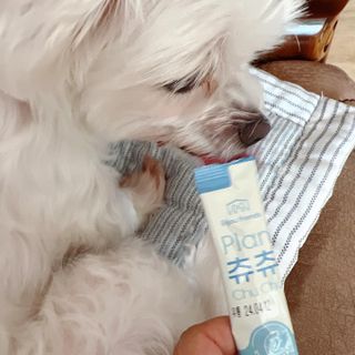 뽀히님이 올린 리뷰 사진 4