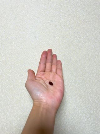 지혜님이 올린 리뷰 사진 3
